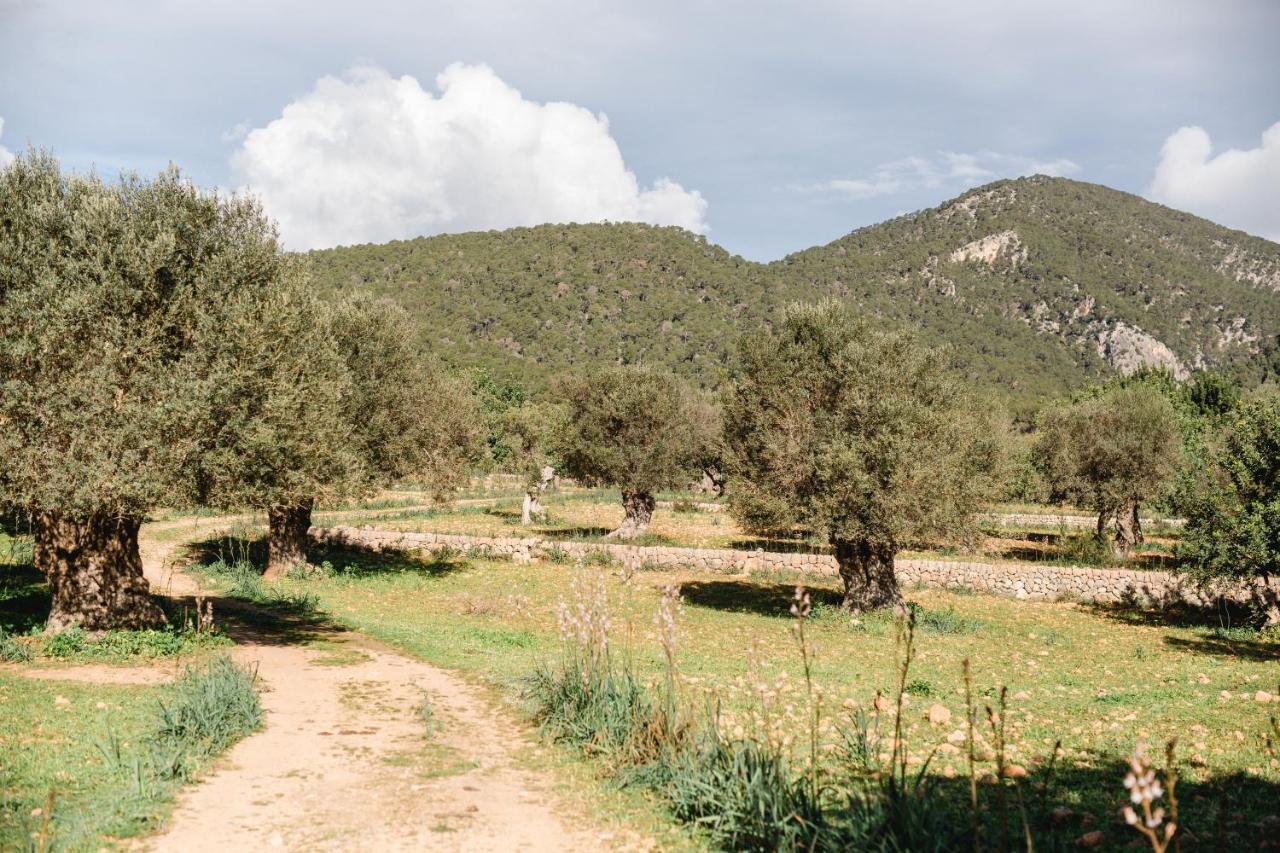 Finca Es Cabas Santa Maria del Cami  Εξωτερικό φωτογραφία